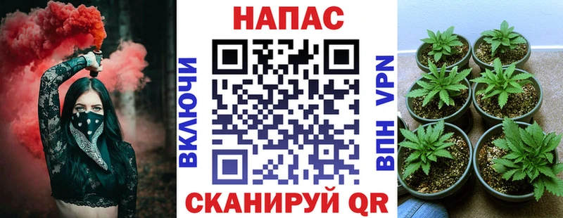 Канабис Amnesia купить наркотики сайты Высоковск